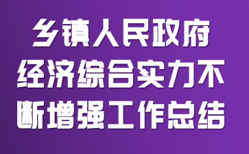 乡镇人民政府经济综合实力不断增强工作总结