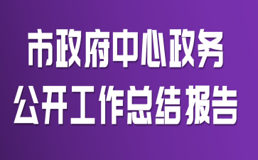 市政府中心政务公开工作总结报告