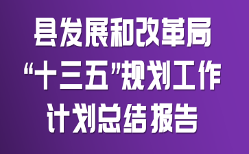 县发展和改革局“十三五”规划工作计划总结报告