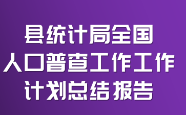 ��ͳ�ƾ�ȫ���˿��ղ鹤�������ƻ��ܽᱨ��
