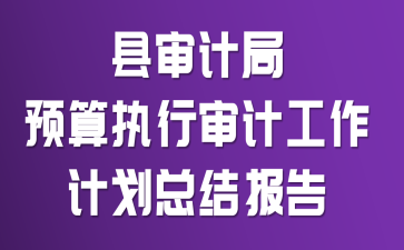 县审计局预算执行审计工作计划总结报告