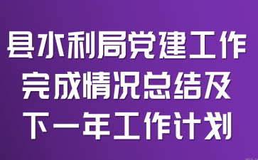 县水利局党建工作完成情况总结及下一年工作计划