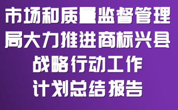 �г��������ල�����ִ����ƽ����̱����ء�ս���ж������ƻ��ܽᱨ��