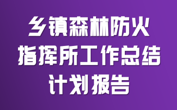 乡镇森林防火指挥所工作总结计划报告
