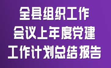 全县组织工作会议上年度党建工作计划总结报告