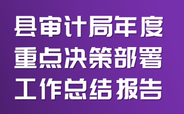 县审计局年度重点决策部署工作总结报告