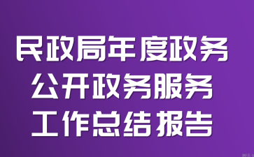 民政局年度政务公开政务服务工作总结报告