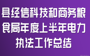 县经信科技和商务粮食局年度上半年电力执法工作总结