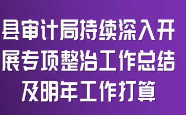 县审计局持续深入开展专项整治工作总结及明年工作打算