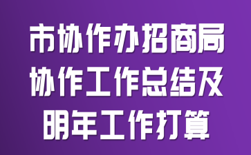 市协作办招商局协作工作总结及明年工作打算