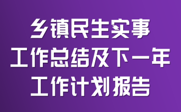 乡镇民生实事工作总结及下一年工作计划报告