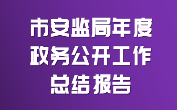 市安监局年度政务公开工作总结报告