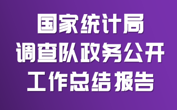 ����ͳ�ƾֵ�������񹫿������ܽᱨ��