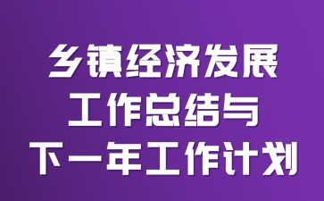 乡镇经济发展工作总结与下一年工作计划