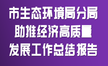 市生态环境局分局助推经济高质量发展工作总结报告
