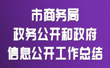 市商务局政务公开和政府信息公开工作总结