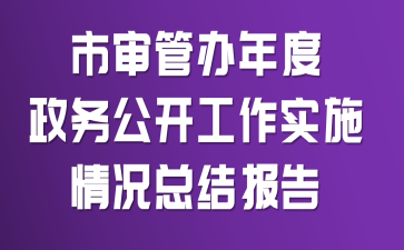 市审管办年度政务公开工作实施情况总结报告