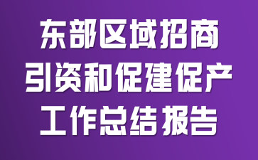 东部区域招商引资和促建促产工作总结报告