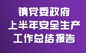镇党委政府上半年安全生产工作总结报告