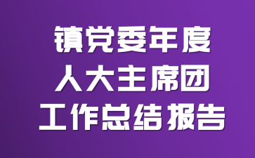 镇党委年度人大主席团工作总结报告