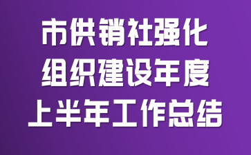 市供销社强化组织建设年度上半年工作总结