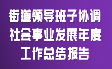 街道领导班子协调社会事业发展年度工作总结报告
