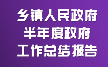 乡镇人民政府半年度政府工作总结报告