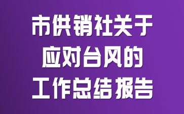 市供销社关于应对台风的工作总结报告
