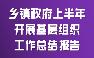 乡镇政府上半年开展基层组织工作总结报告