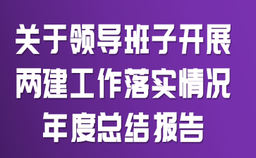 关于领导班子开展两建工作落实情况年度总结报告