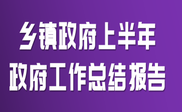 乡镇政府上半年政府工作总结报告