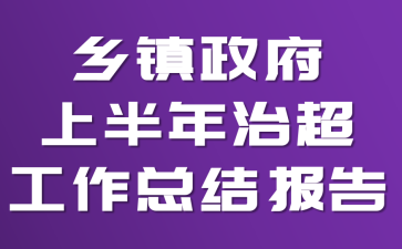 乡镇政府上半年治超工作总结报告