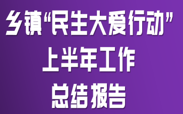 乡镇“民生大爱行动”上半年工作总结报告