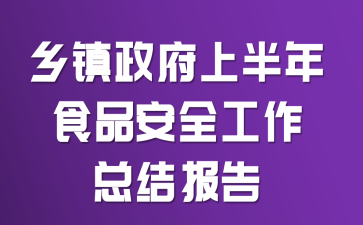 乡镇政府上半年食品安全工作总结报告