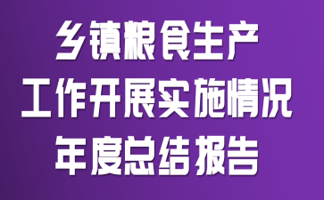乡镇粮食生产工作开展实施情况年度总结报告