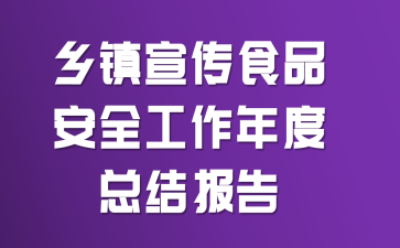 乡镇宣传食品安全工作年度总结报告