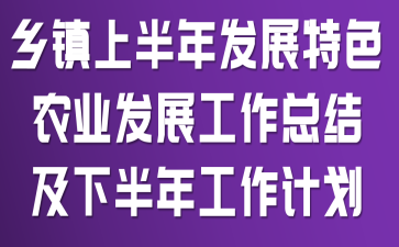 �����ϰ��귢չ��ɫũҵ��չ�����ܽἰ�°��깤���ƻ�