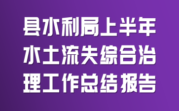 县水利局上半年水土流失综合治理工作总结报告