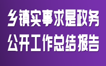 乡镇实事求是政务公开工作总结报告