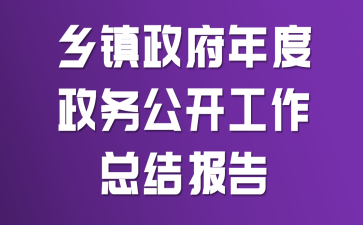 乡镇政府年度政务公开工作总结报告