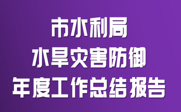 市水利局水旱灾害防御年度工作总结报告