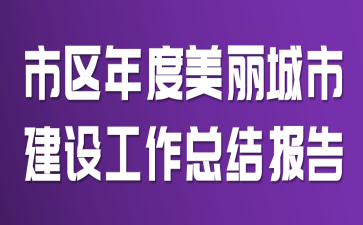 市区年度美丽城市建设工作总结报告