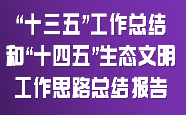“十三五”工作总结和“十四五”生态文明工作思路总结报告