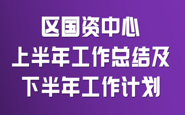 区国资中心上半年工作总结及下半年工作计划