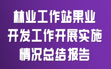 ��ҵ����վ��ҵ����������չʵʩ����ܽᱨ��