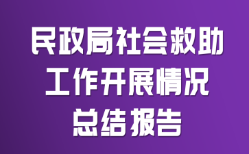 民政局社会救助工作开展情况总结报告