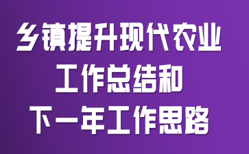 ���������ִ�ũҵ�����ܽ����һ�깤��˼·
