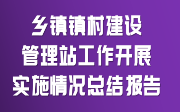 乡镇镇村建设管理站工作开展实施情况总结报告
