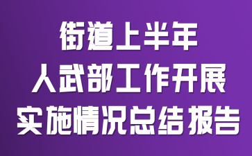 街道上半年人武部工作开展实施情况总结报告