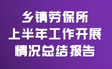 乡镇劳保所上半年工作开展情况总结报告